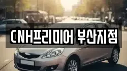 부산광역시 중구 광복동2가 렌트카,단기렌트카,장기렌트카,중고차,중고차매매,중고차매입