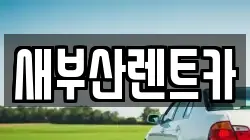새부산렌트카