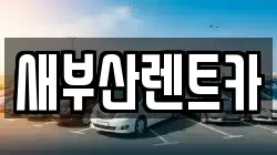 새부산렌트카
