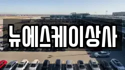 뉴에스케이상사