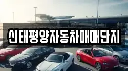 신태평양자동차매매단지