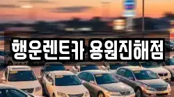 부산 강서구 성북동 렌트카,단기렌트카,장기렌트카,중고차,중고차매매,중고차매입