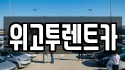 위고투렌트카