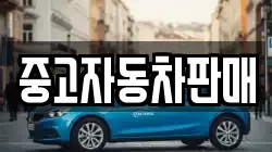 중고자동차판매