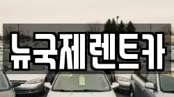 뉴국제렌트카