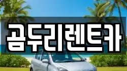 부산 금정구 두구동 렌트카,단기렌트카,장기렌트카,중고차,중고차매매,중고차매입