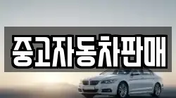 중고자동차판매