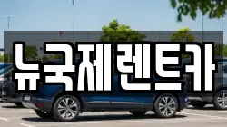 뉴국제렌트카