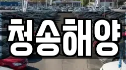 청송해양