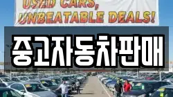 중고자동차판매