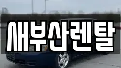 부산 금정구 회동동 렌트카,단기렌트카,장기렌트카,중고차,중고차매매,중고차매입