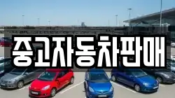중고자동차판매