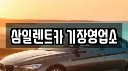 삼일렌트카 기장영업소