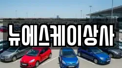 뉴에스케이상사