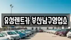 부산 남구 대연동 렌트카,단기렌트카,장기렌트카,중고차,중고차매매,중고차매입