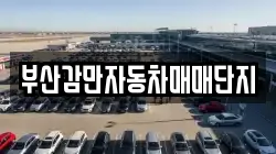 부산감만자동차매매단지