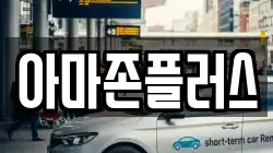 아마존플러스