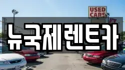 뉴국제렌트카