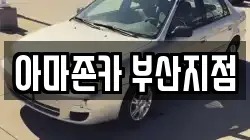 아마존카 부산지점