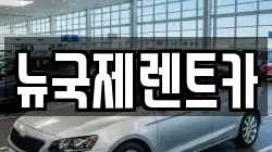 뉴국제렌트카