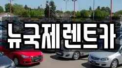뉴국제렌트카