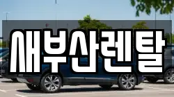 부산 동래구 명륜동 렌트카,단기렌트카,장기렌트카,중고차,중고차매매,중고차매입