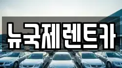 뉴국제렌트카