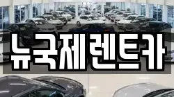 뉴국제렌트카