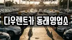다우렌트카 동래영업소