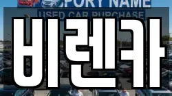 비렌카