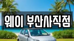 부산 동래구 사직동 렌트카,단기렌트카,장기렌트카,중고차,중고차매매,중고차매입