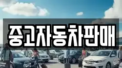 중고자동차판매