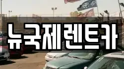 뉴국제렌트카