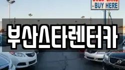 부산스타렌터카