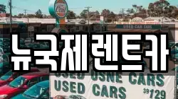 뉴국제렌트카