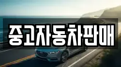 중고자동차판매