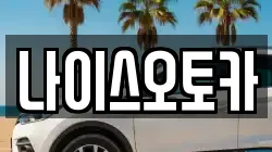 나이스오토카