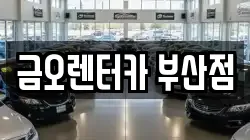 금오렌터카 부산점