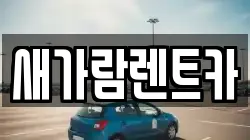 새가람렌트카