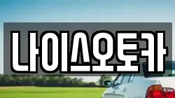 나이스오토카