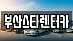 부산스타렌터카