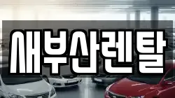 부산 부산진구 연지동 렌트카,단기렌트카,장기렌트카,중고차,중고차매매,중고차매입