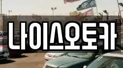 나이스오토카