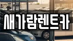 새가람렌트카