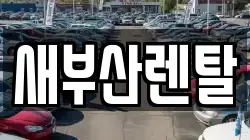 부산 부산진구 초읍동 렌트카,단기렌트카,장기렌트카,중고차,중고차매매,중고차매입