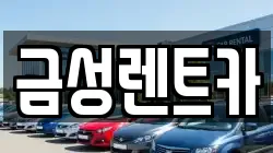 금성렌트카