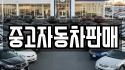 중고자동차판매