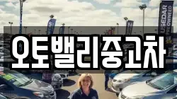 오토밸리중고차