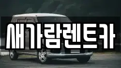 새가람렌트카