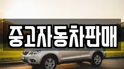 중고자동차판매